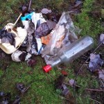 Some of the litter picked up in January 2013