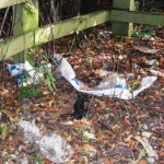 public footpath a34 roundout before clean up