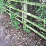 public footpath a34 roundout after clean up