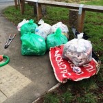 Spring Clean 2016 29th Feb Lindow Common