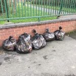 Wilmslow Clean Team Lacey Green Park January 2020